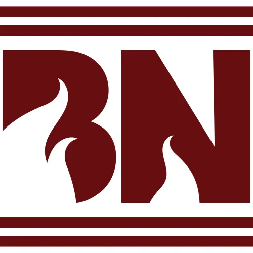 Burns Notice icon