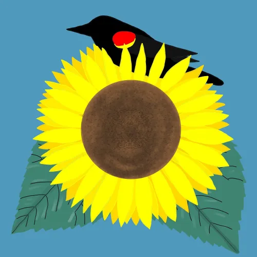 Kansas Eclectic icon