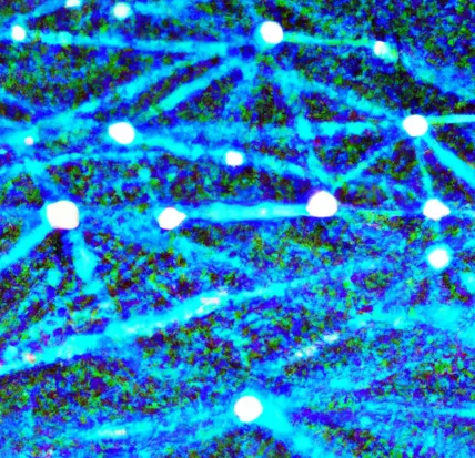 BCA - Blockchain Applied icon