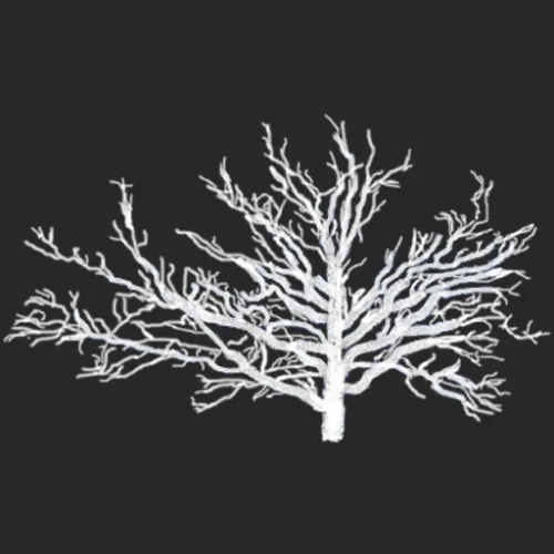 Greg Forcey PhD, CWB® icon