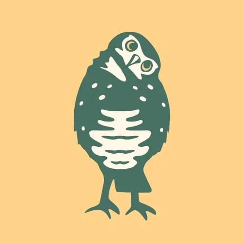 Drafting the Past icon