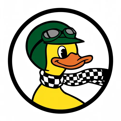 Duck Racing icon