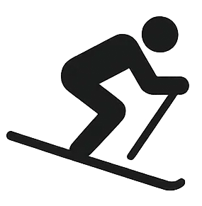 Skimetrics icon