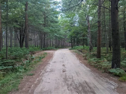 One Of The F -Words icon