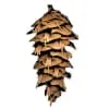 Cascadia Journal icon