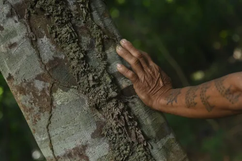 Rambling Rhizome icon