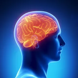 The DaVinci Minds icon
