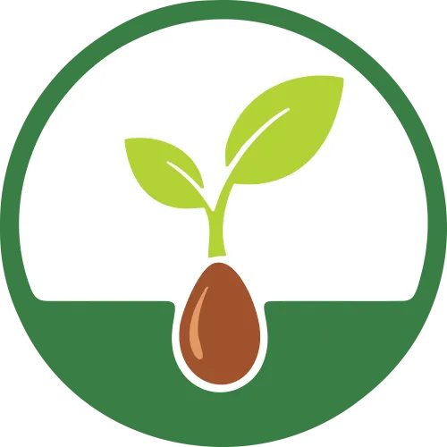 Solid Ground AI icon