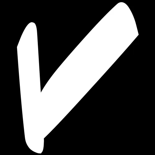 The Vietnamese Magazine icon