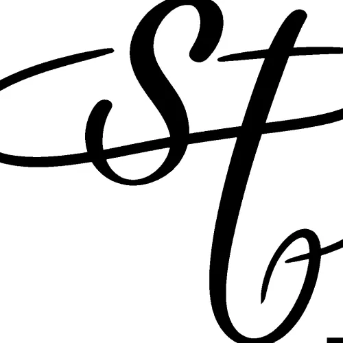 Soroush Torkian icon