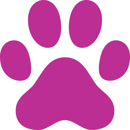 Heaven of Animals icon