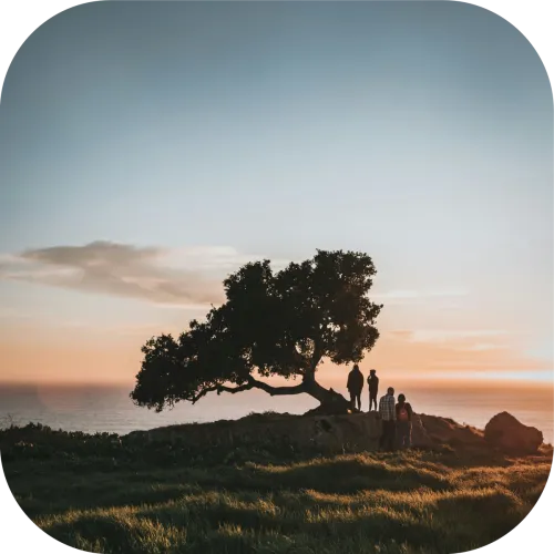 Out Beyond Ideas icon