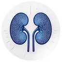 Universal Kidney Novel Book icon