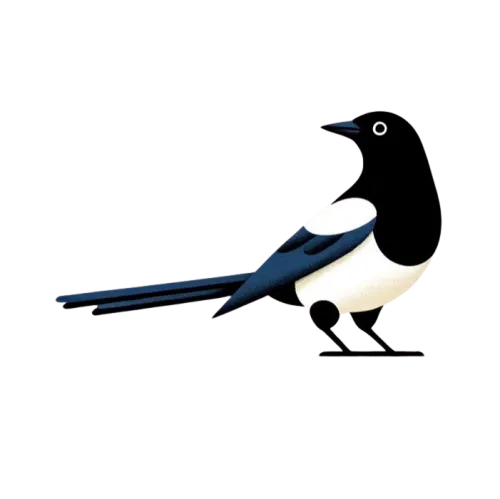 Patrick Boehler icon