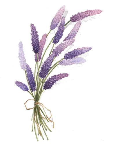 Fiore's Garden Art icon