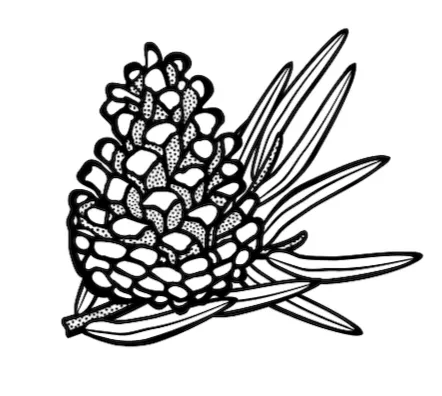 The Highlands Common icon