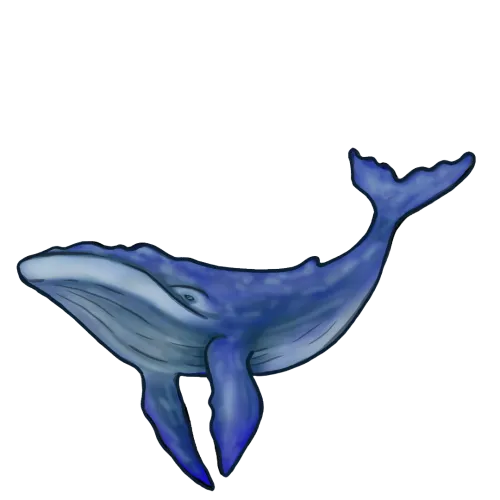 Ballena Capital icon