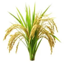 Bác Sĩ của nhà nông icon