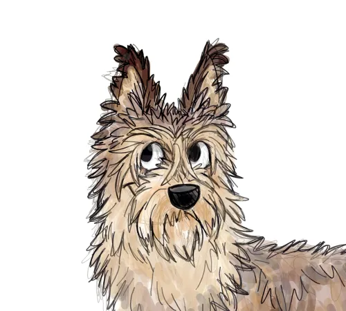 How does dog training work and why icon