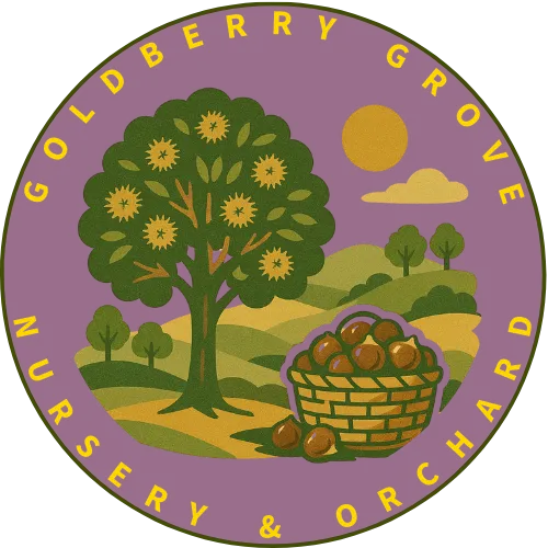 Goldberry Grove icon