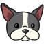 DagsHub icon