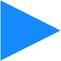 SoftwareValg.dk icon