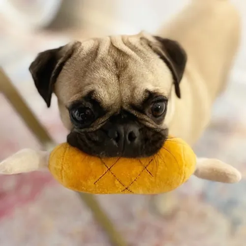 ilikeafrica.com icon