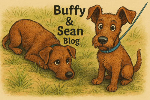 Buffy und Sean icon