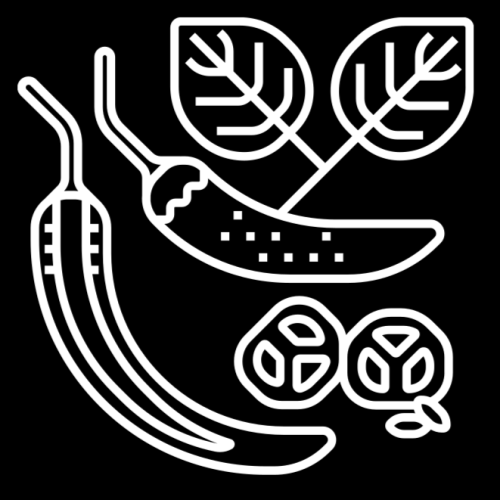 flavoursbyjan icon