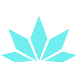 New York State Cannabis Connect icon