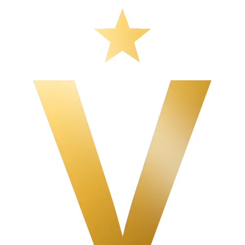 Velynt.ai icon