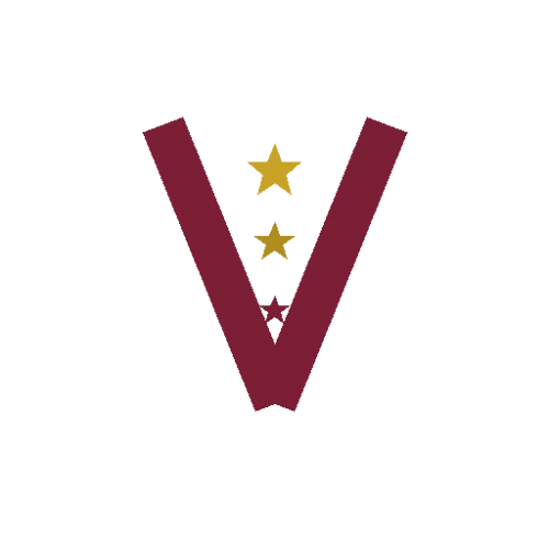 Velynt.ai icon