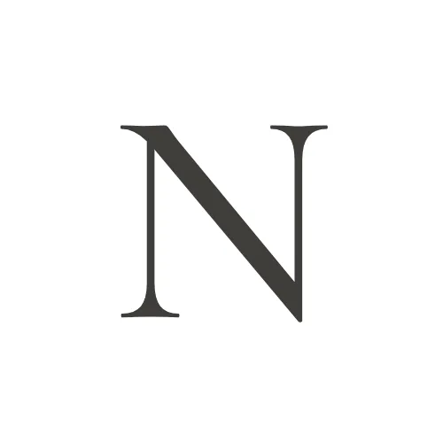 Nina Voice  icon