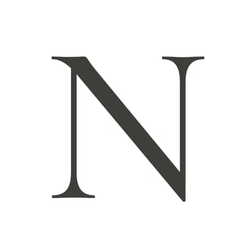 Nina Voice icon