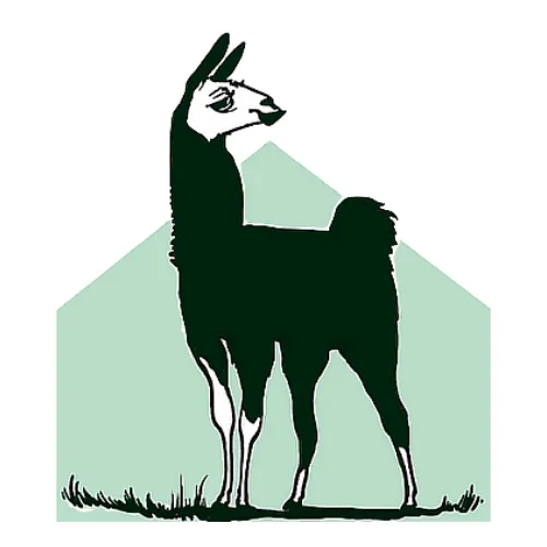 ROOT WOMAN STUDIO icon