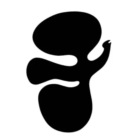 broeder damiaan icon