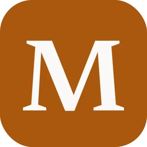 Mirror icon