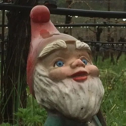 Wine in Germany & Austria icon