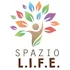SpazioLIFE icon
