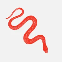 Pocket Observatory icon