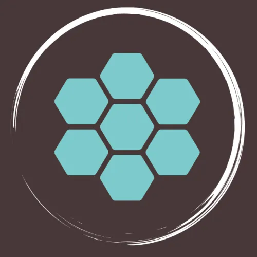 Sébastien Dubois icon