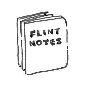 Flint Notes icon