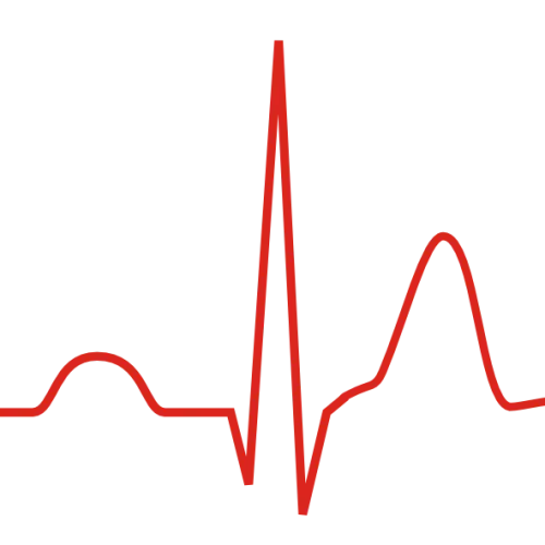 Short QT Syndrome icon