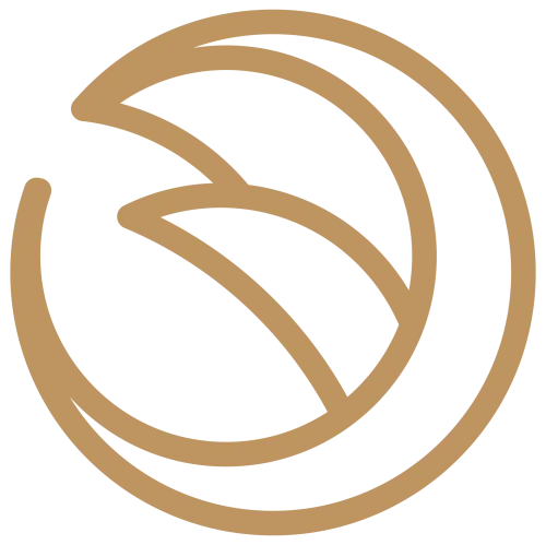 Novoden icon