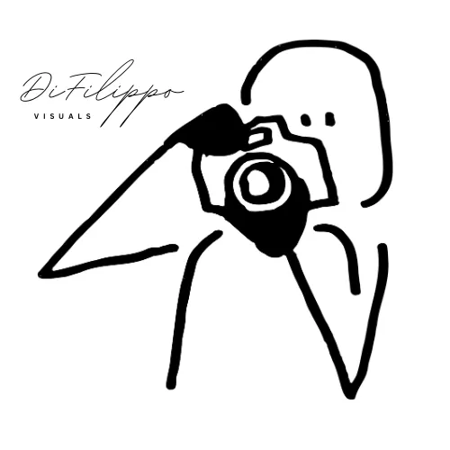 DiFilippo Visuals icon
