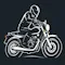 The Triumph Adventures icon