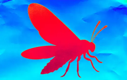 Firefly icon