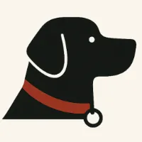 The Snoot Report icon
