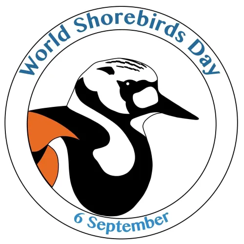 World Shorebirds Day icon
