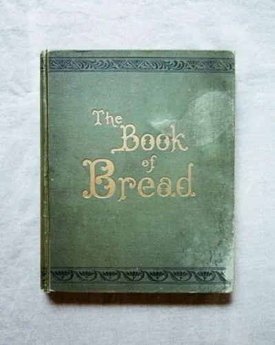 Team Breaducation icon